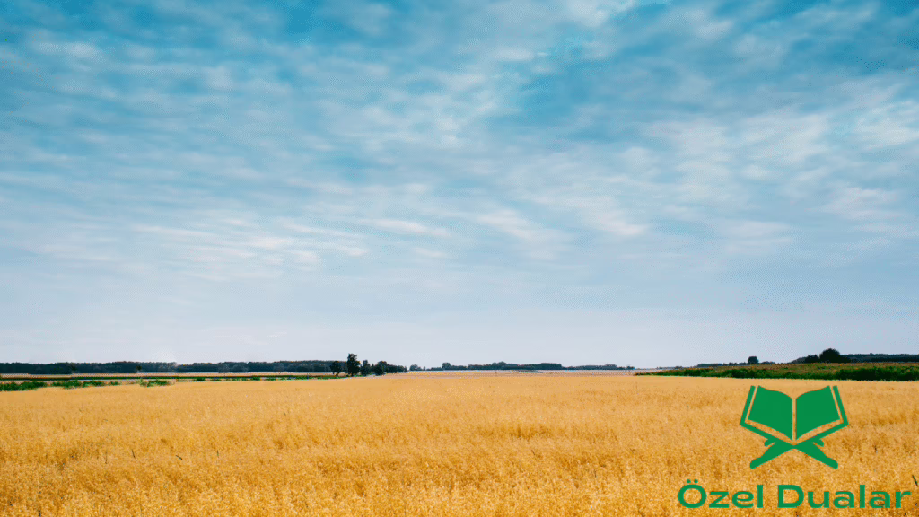 Rızık ve Bereket Duası